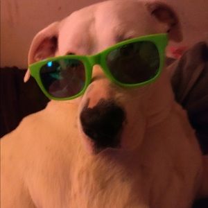 Meet your Posher, Shanell